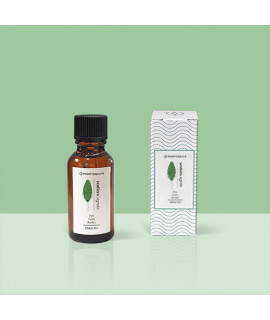 Secret Path fragrance perfume aroma pure essence Essenzapura 20 ml