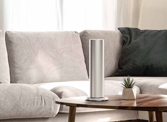 I vari tipi di diffusori di profumo d'ambiente