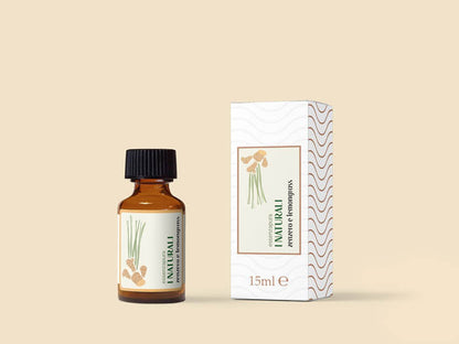 Ingwer und Zitronengras 15 ml – 100 % natürlicher Duftnachfüller für Diffusoren