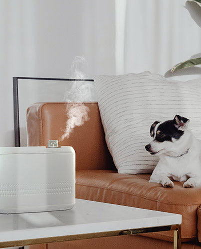 Anthos 800 - Difusor atomizador de perfume Essenzapura