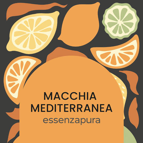 Maquis méditerranéen - Recharge de parfum pour diffuseurs