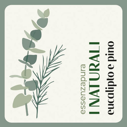 Eukalyptus und Kiefer 15 ml – 100 % natürlicher Duftnachfüller für Diffusoren