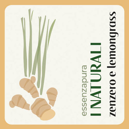 Ingwer und Zitronengras 15 ml – 100 % natürlicher Duftnachfüller für Diffusoren